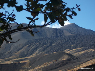 nte Pizzillo-21-10-2012 08-51-14